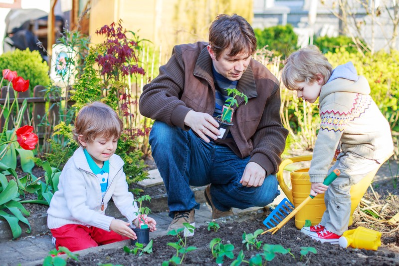 Moestuin aanleggen: vind je inspiratie Moestuin aanleggen: vind je inspiratie